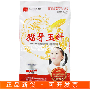 汇丰源猫牙玉针水稻种子优质稻谷大米粮食种籽长粒香米大田用种