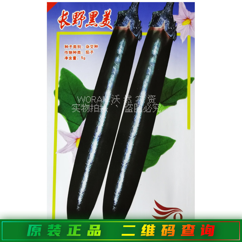 济南茄果长野黑美茄子种子籽