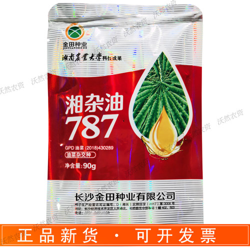 湘杂油787中熟高产高出油油菜籽