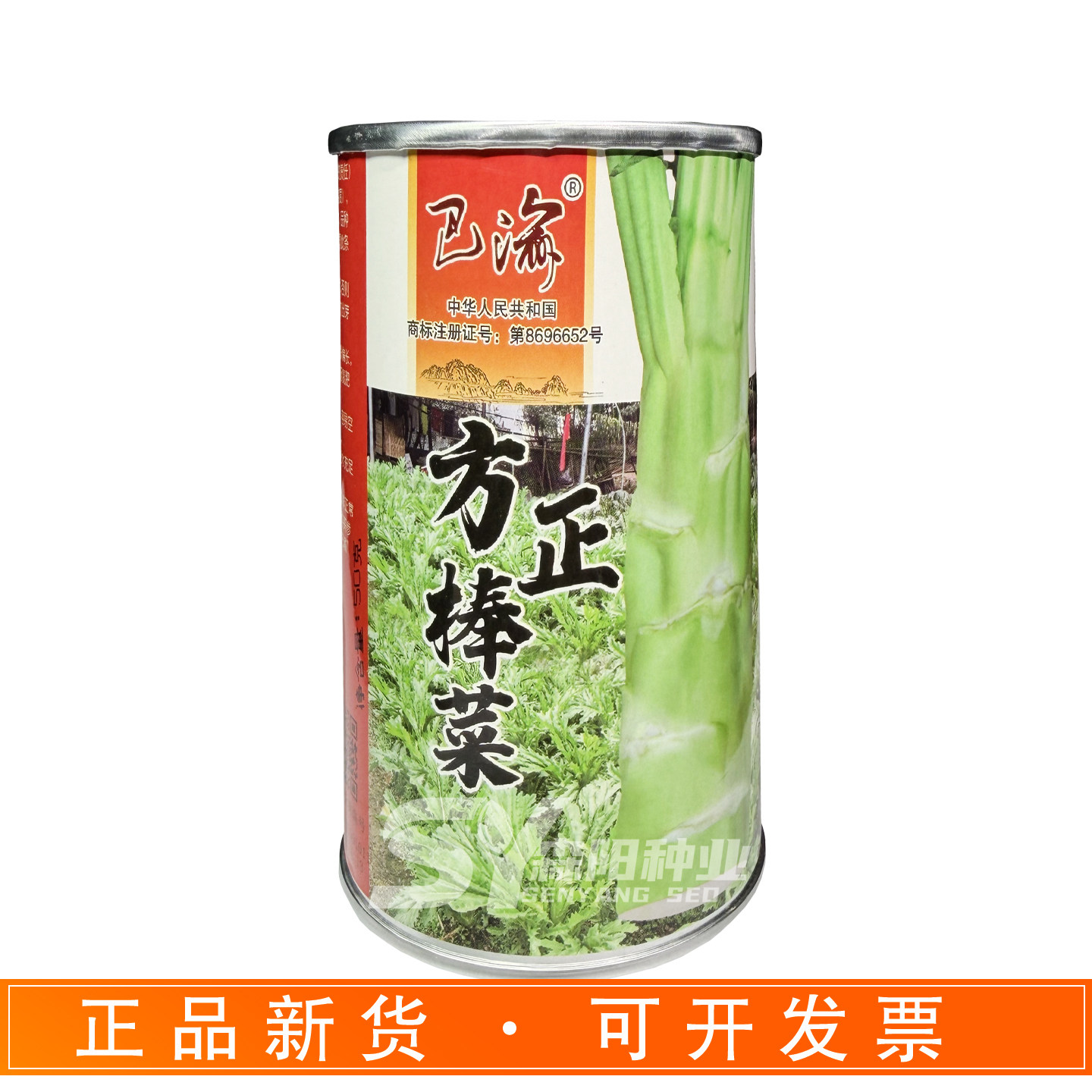 巴渝方正莴笋芥菜种子大田用种