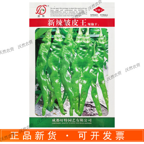 好特新皱皮王辣椒种子特辣高产