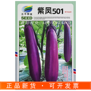 三千种业紫凤501茄子杂交种子早熟软糯紫红长棒状茄子种籽蔬菜