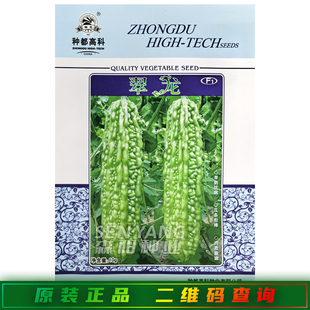 种都高科翠龙苦瓜种子早熟抗病结瓜多高产 柯田5号 青翠苦瓜种籽