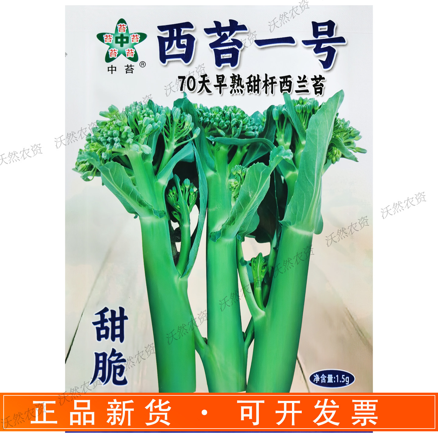 中苔西苔一号西兰苔种子农家秋季种植芥蓝菜苔70天早熟甜杆西兰苔