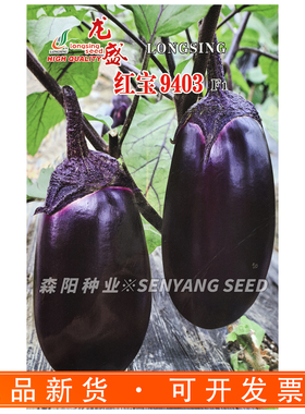 龙盛红宝9403茄子种子早熟杂交一代茄子种籽四季蔬菜紫色茄大田