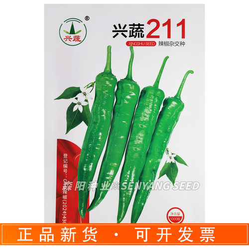 兴蔬211辣椒种子早熟中辣高品质