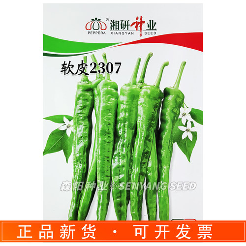 湘研软皮2307辣椒种子籽早熟
