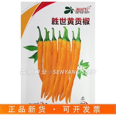 湘妹籽胜世黄贡椒种子中早熟