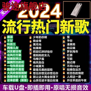 无损高音质品质车用抖音新歌曲经典 汽车载U盘2024新款 DJ音乐优盘