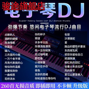 劲爆节奏电子琴重低音dj音乐U盘车载歌曲高音质无损流行音响优盘