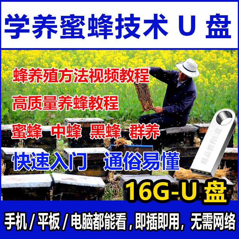 养蜂技术学习教程视频U盘