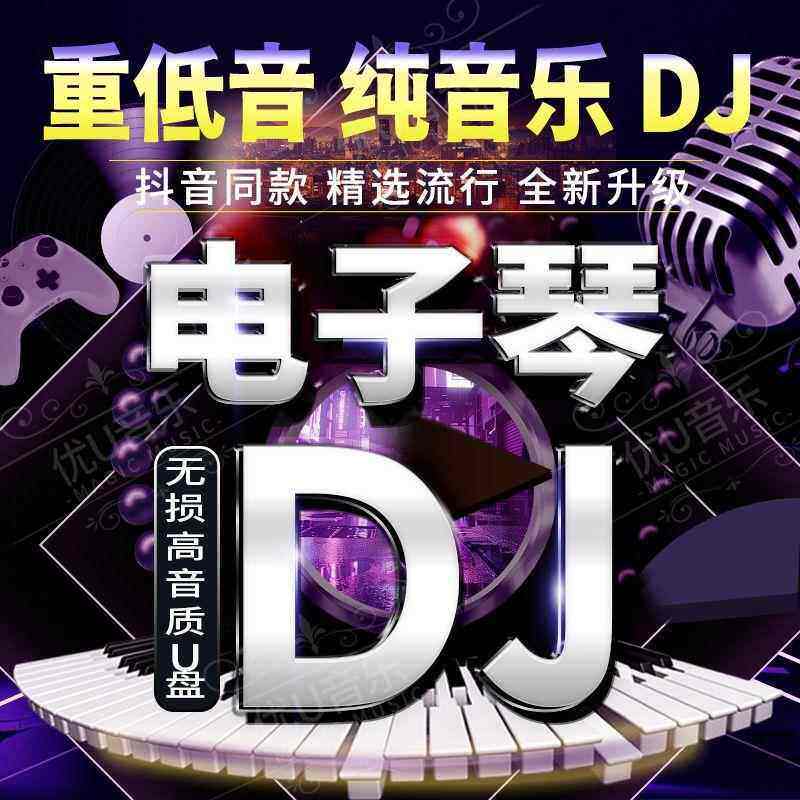 电子琴重低音DJ车载U盘抖音流行串烧电子琴笛子纯音乐DJ高音质U盘