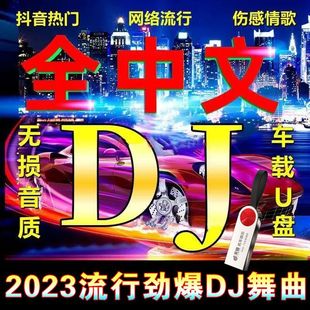 4通用优盘 车载2023流行中文DJ音乐U盘热门网络情歌dj抖音嗨曲MP3