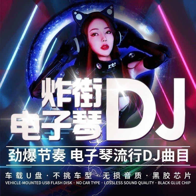 车载u盘电子琴轻纯音乐重低音dj歌曲试音发烧古典无损音质32g优盘