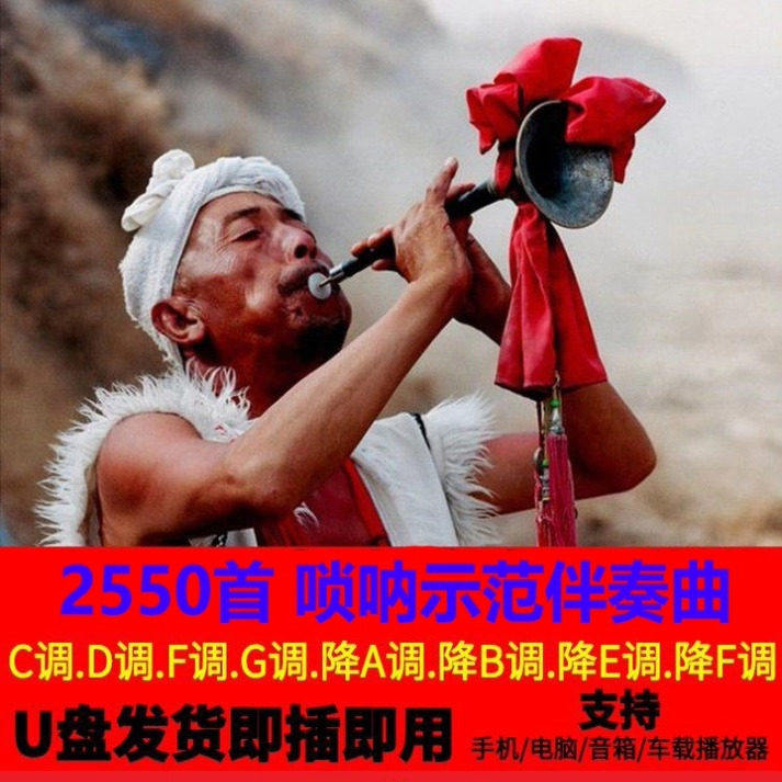 唢呐伴奏2500首U盘内存卡MP3 带目录音箱演唱经典伴奏曲演唱优盘,汽车用品/电子/清洗/改装,车载音乐U盘,淘宝优惠券,粉丝福利购,淘宝优惠卷