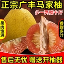 江西上饶正宗广丰马家柚礼盒装 水果 红心柚子新红肉蜜柚现摘当季