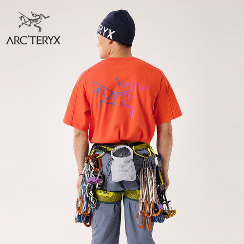 始祖鸟IONLIGHTWEIGHT粉袋