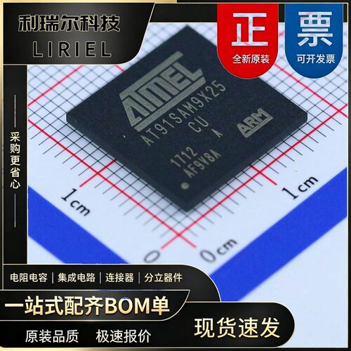 AT91SAM9X25-CU MICROCHIP BGA-217 宽电压 单片机 3D打印