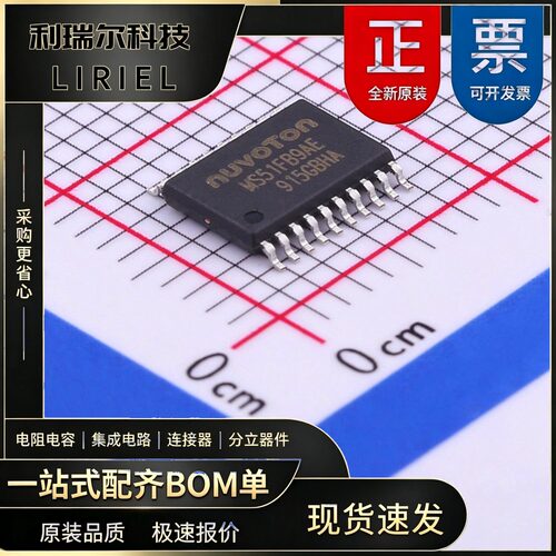 MS51FB9AE NUVOTON TSSOP-20 大容量 MCU芯片 显示屏驱动