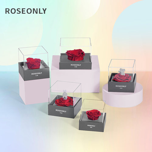 ROSEONLY钟情永生花送女友礼物