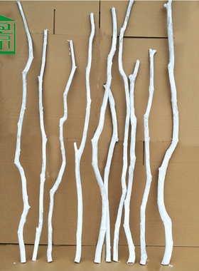 新款仿真白树枝干枯枝白色枯树枝过江龙骨室内花瓶摆件装饰干花枝