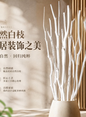 新款仿真白树枝干枯枝白色枯树枝过江龙骨室内花瓶摆件装饰干花枝