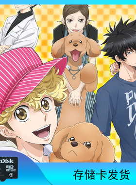 爱犬指令（爱犬讯号、狗狗信号）存储卡发货