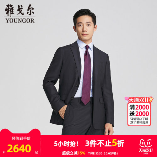 雅戈尔上班秋季舒适型西服