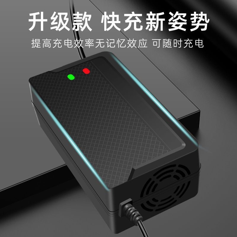 适用王派电动车电瓶车通用充电器36V48V12Ah48V20Ah60V72V适智能