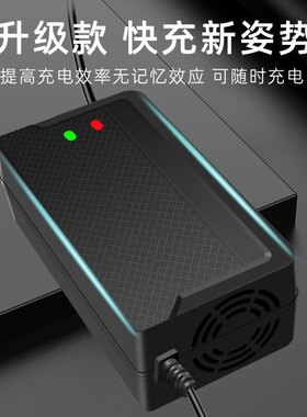 适用王派电动车电瓶车通用充电器36V48V12Ah48V20Ah60V72V适智能