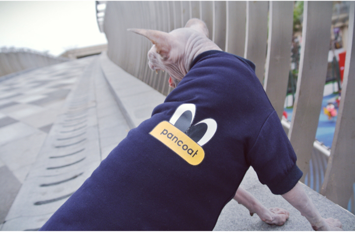 宠物猫咪泰迪狗狗猫猫斯芬克斯无毛猫衣服夏装冬装T恤跑男同款在类目 宠物/宠物食品及用品, 宠物服饰及配件, 宠物服装/雨衣中 - 来自Buy2taobao.com提供专业的淘宝代购服务