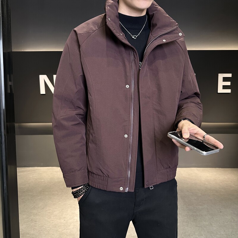 2025冬季新款羽绒服男短款立领高品质90白鸭绒外套2905--P245,男装羽绒服,电商D238