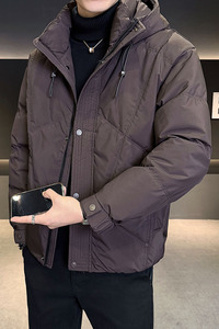 店主风2025冬季新款羽绒服男短款连帽加厚标绒外套8181--P210图片