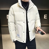 店主风2024冬季新款羽绒服男短款立领白鸭绒羽绒外套6801--P150，男装羽绒服，电商D238