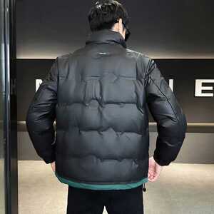 2025冬季新款羽绒服男立领短款拼色标绒羽绒外套D66-P155图片