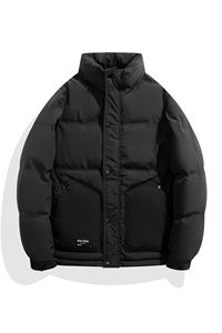 白底平铺2024冬季新款羽绒服男短款立领白鸭绒羽绒外套6801--P150图片