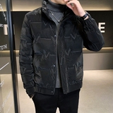 店主风冬季羽绒服男短款立领标50绒羽绒外套8707--TP120，男装羽绒服，电商D238