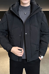 店主风数据款2025冬季新款羽绒服男短款连帽加厚外套8172--P210图片