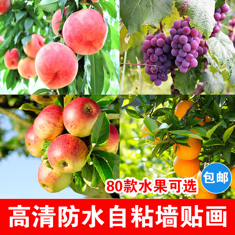 新品蔬菜水果海报贴画店铺墙壁装饰墙纸自粘海报定制大幅墙画贴纸