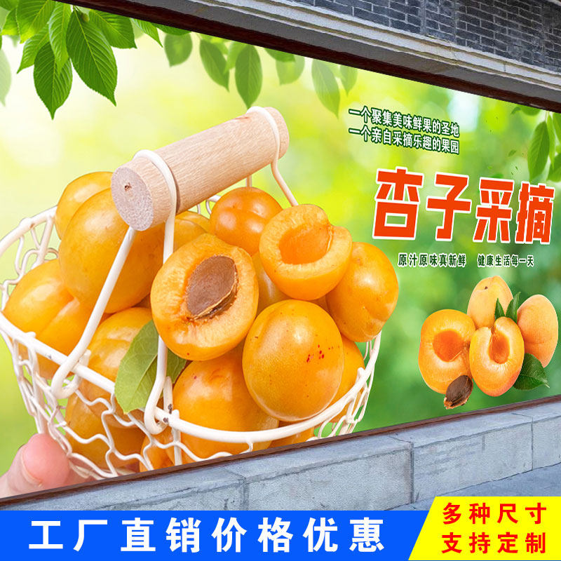 新鲜黄杏子水果海报店铺超市背景墙装饰画墙贴纸广告防水高清图片