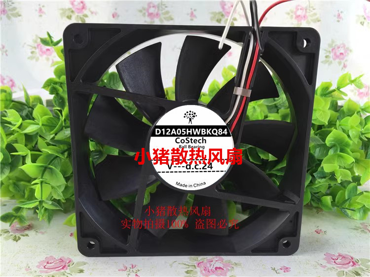 原装 Costech D12A05HWBKQ84 24V 12025散热风扇 D12A05HWS Z00