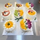 水果小4寸蛋糕模型仿真2024爆款 网红流行生日假蛋糕橱窗摆设样品