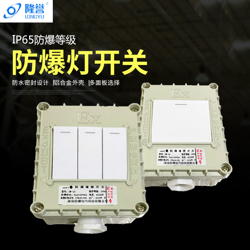 隆誉 防爆开关220V10A墙壁插座明装按钮照明控制86型单联电源开关