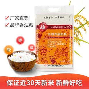 2025年新米稼贾福谷尊油粘米 韶关马坝 籼米长粒香农家大米20斤