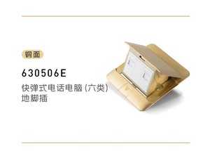 TCL罗格朗地插座全铜弹起式防水6类千兆六类电脑网络网线网口电话