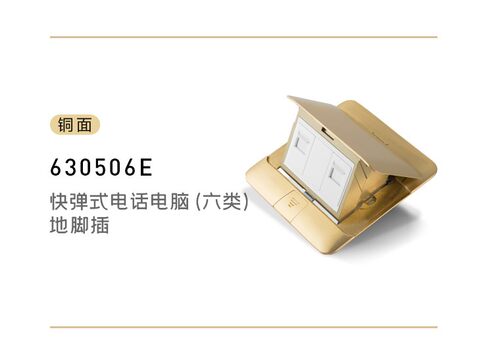 全铜6类网络+电话地插座 千兆传输