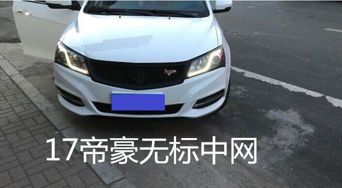 09-17帝豪改装无标中网EC7改装中网715/718运动款12/13/14/16新老