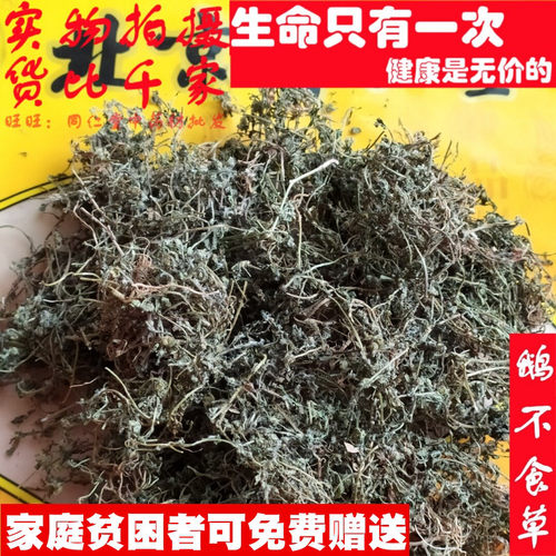 50克 鹅不食草 可打粉 中药材同品质精选