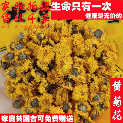 50克 黄菊花 可打粉 品质精选