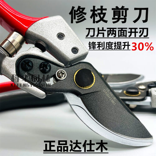 修枝剪园艺剪粗枝剪花剪